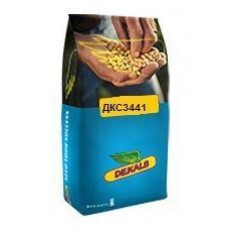 ДКС 3441 семена кукурузы